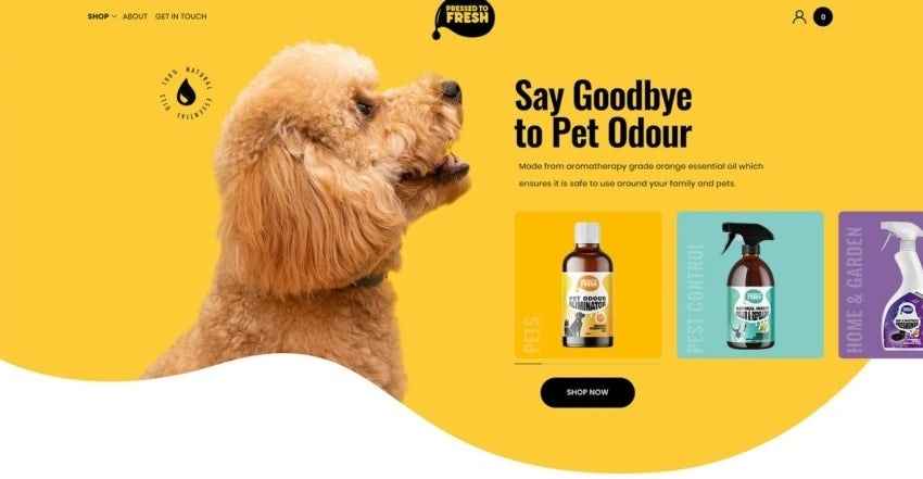 Homepage web design for pet care