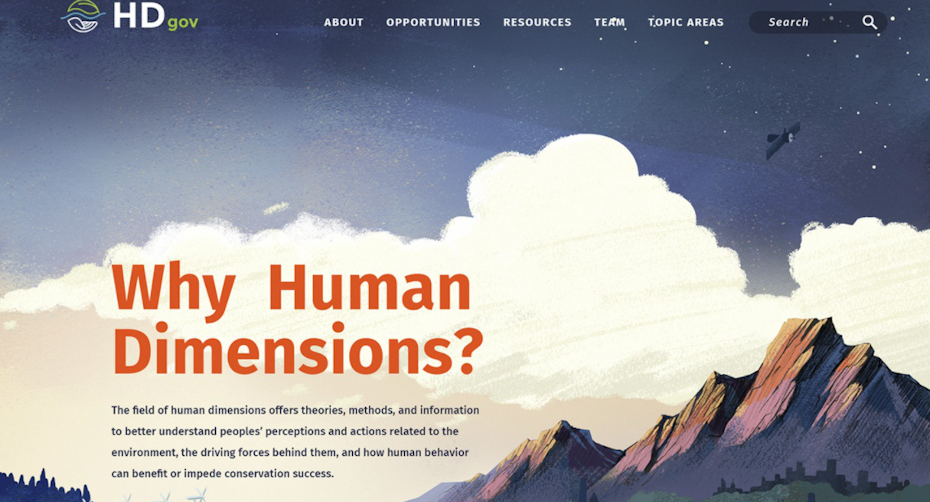 Homepage web design with an illustrated background