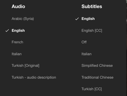 Netflix’s audio and subtitle options containing different languages, types of audio and subtitles