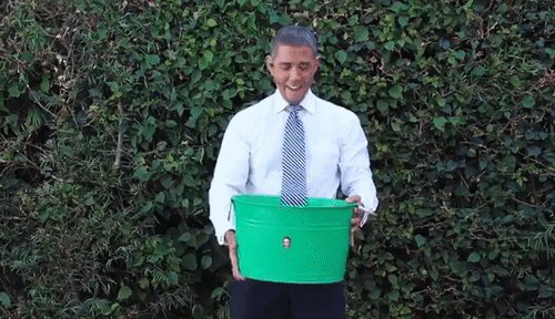 best digital marketing campaigns of all time: ALS ice bucket challenge