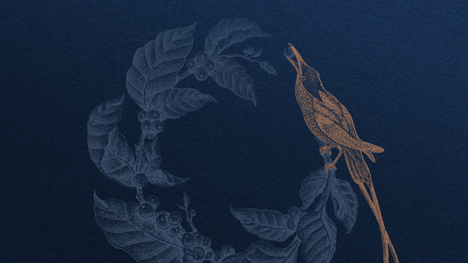 an illustration of a golden bird eating a bean off a coffee tree branch