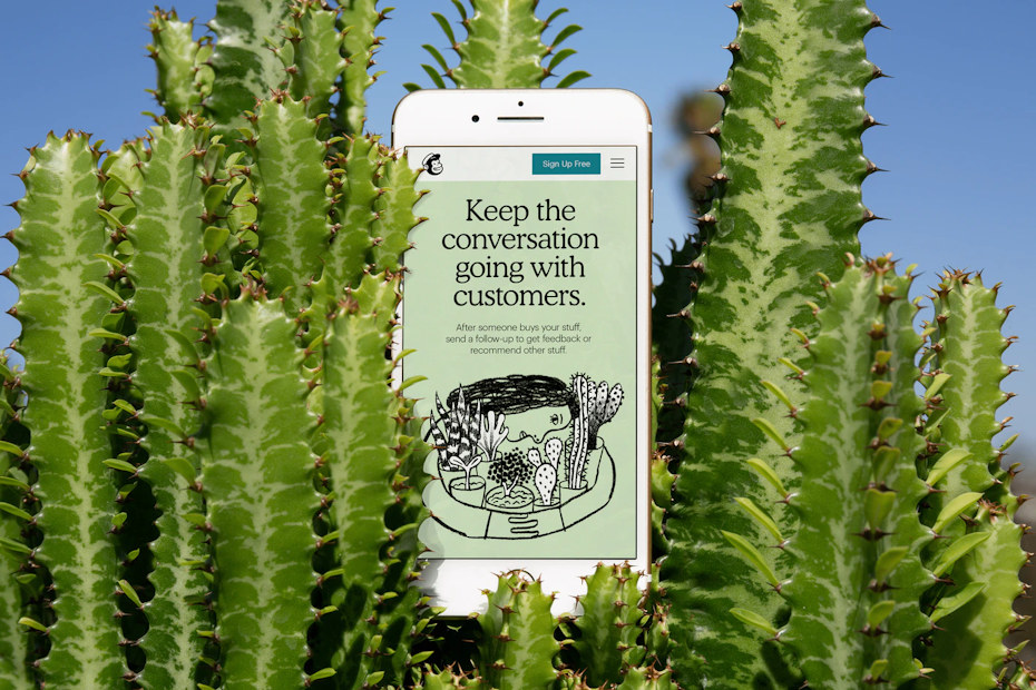 تطور شركة mailchimp تطور شركة mailchimp