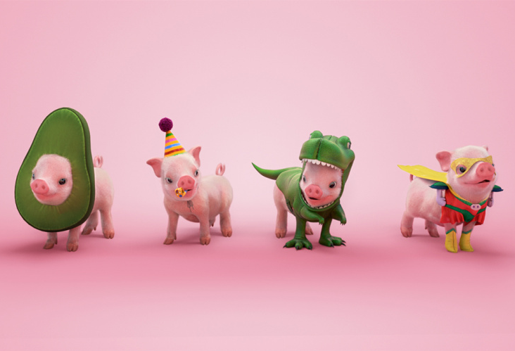 pigs dressed up