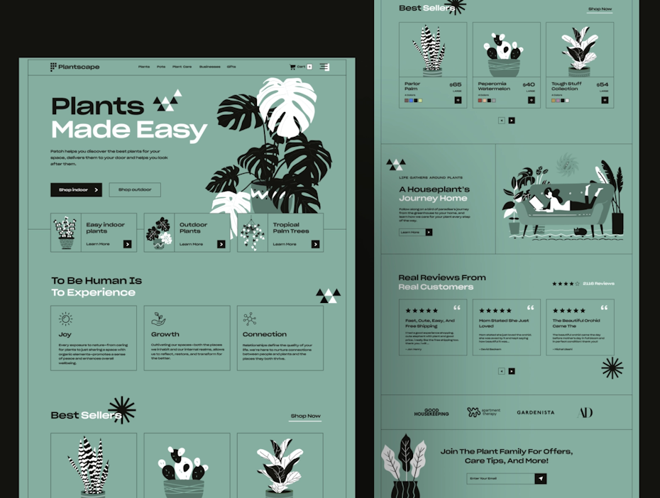 Landing page design for house plant service