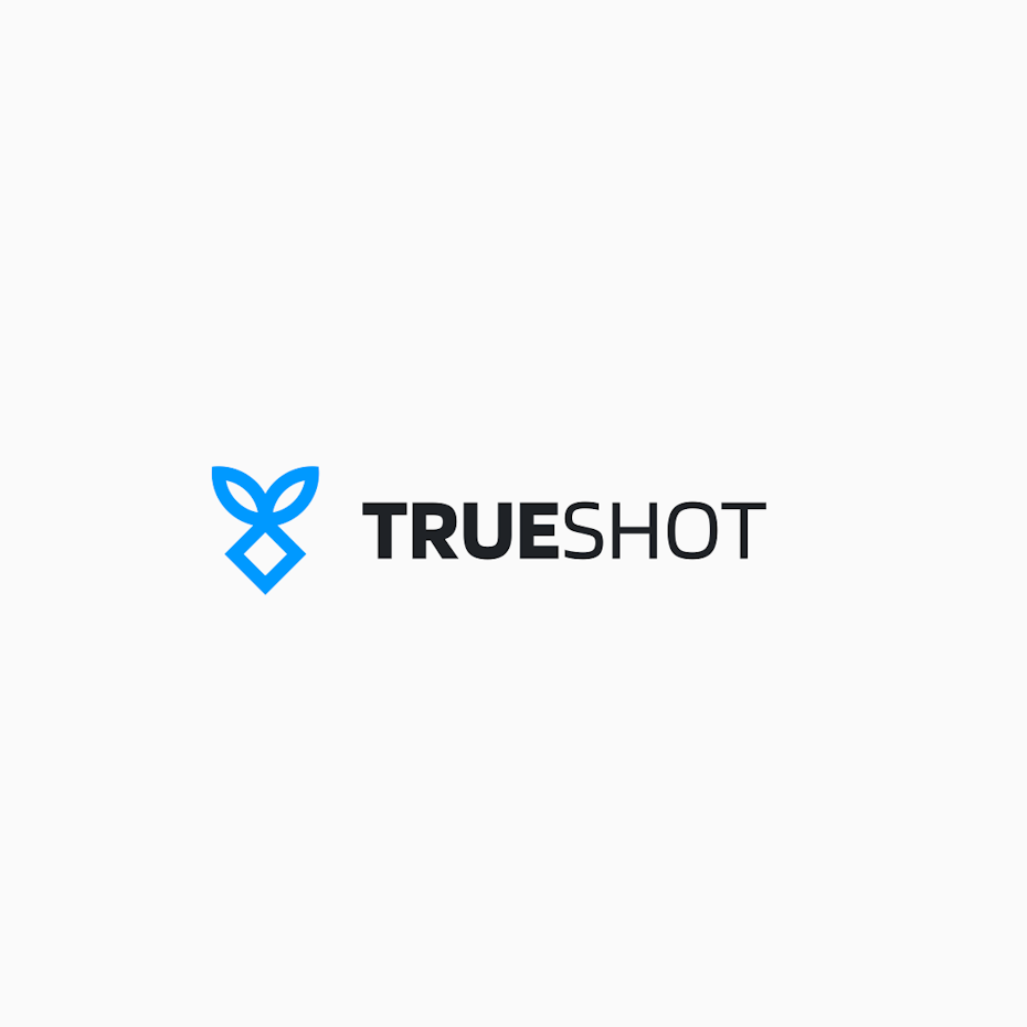Logo for a web-based accounting system