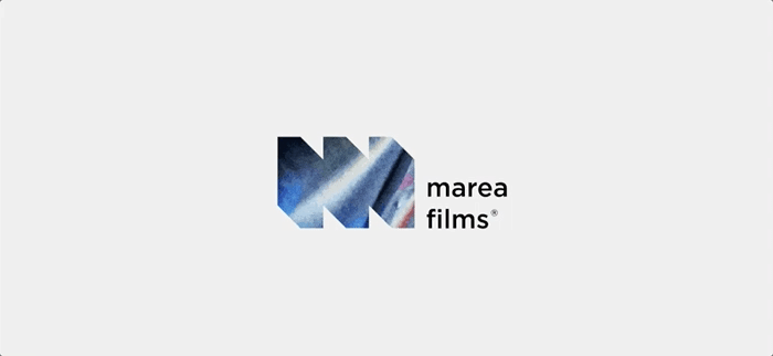 animated letter N logo with static text