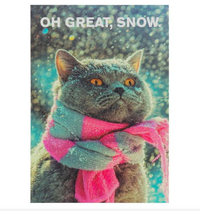 grumpy cat Christmas card