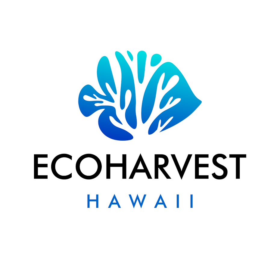Blue tropical logo design for ecology brand