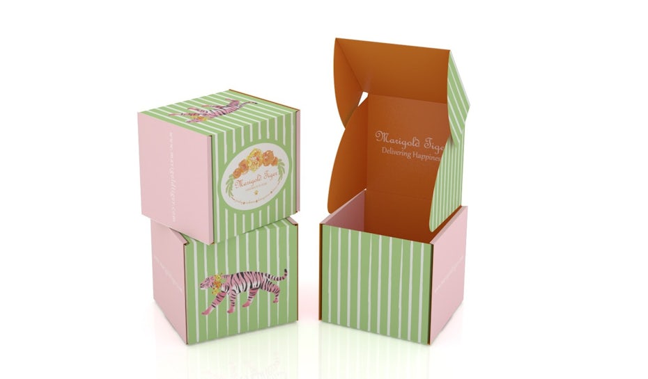 colorful green, white and pink box with a tiger on it