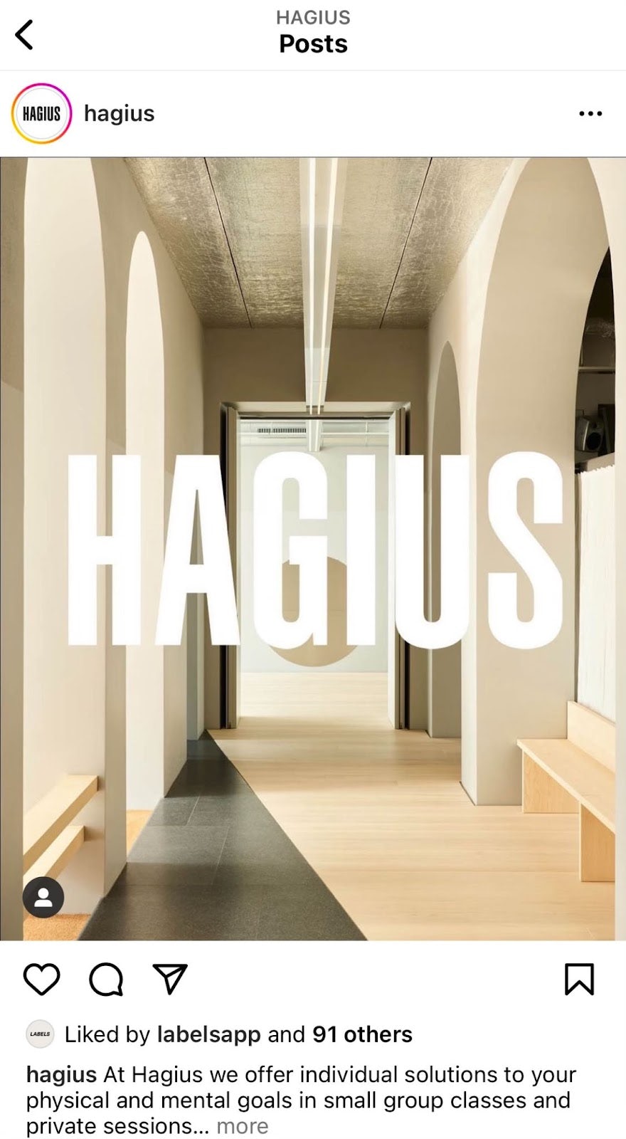 hagius logo and space