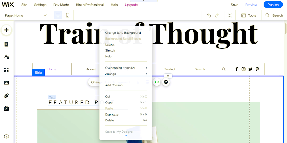 Screenshot of how to use Wix editor