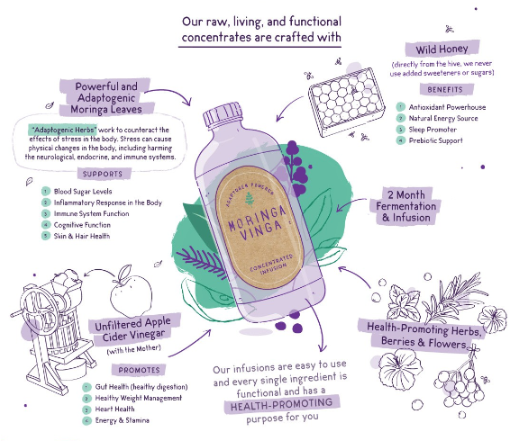 An infographic of the different health benefits of drinking Moringa Vinga