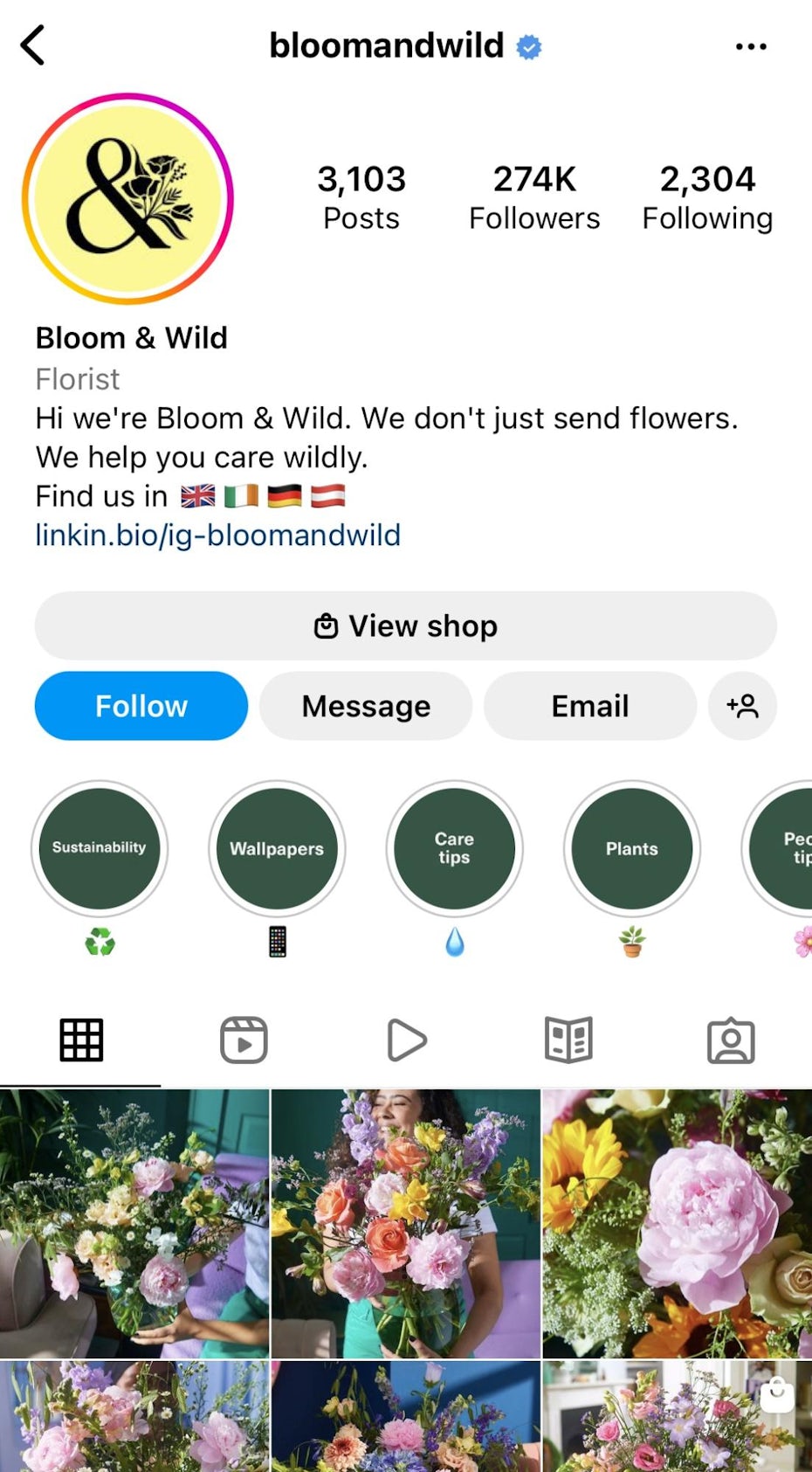 Bloom and Wild Instagram feed