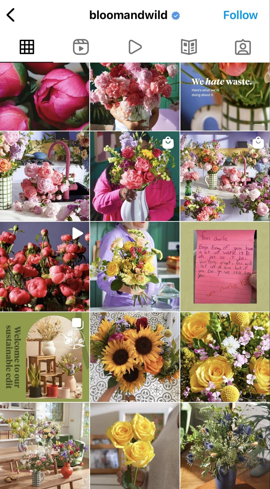 Bloom and Wild Instagram feed