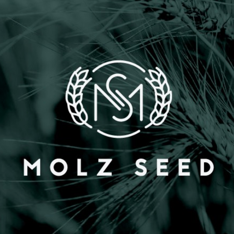 Emblem style logo design for a seed company