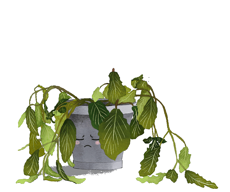 charming gif of wilted plant growing and feeling happier