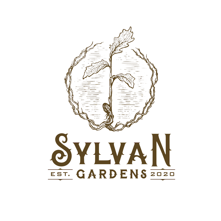vintage-style illustration logo showing a seedling