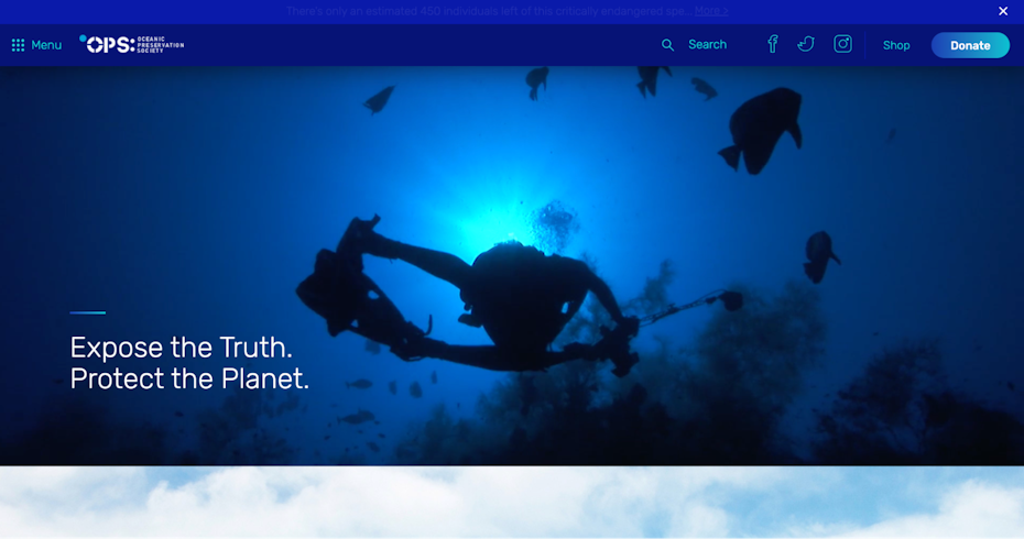 The nonprofit, Ocean Preservation Society, uses videos of ocean wildlife to engage supporters