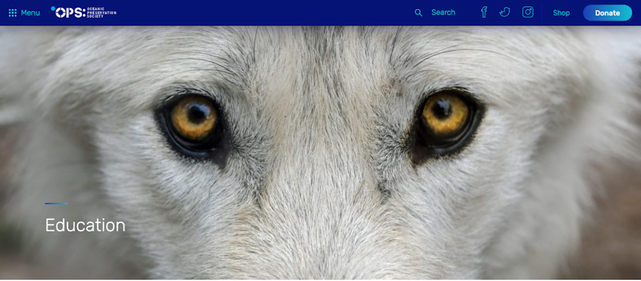 Continuing with the nonprofit, Ocean Preservation Society, their brand uses variations of blue to visually represent their mission