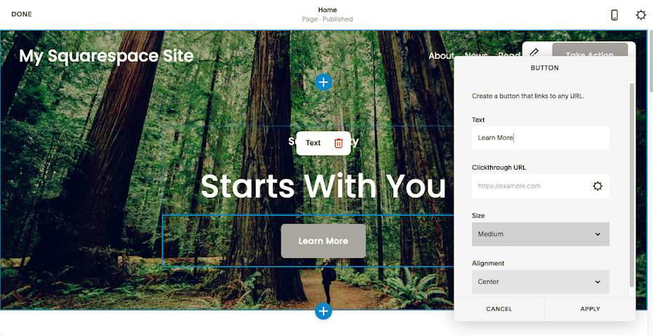 Squarespace vs Shopify 2022: Screenshot of Squarespace