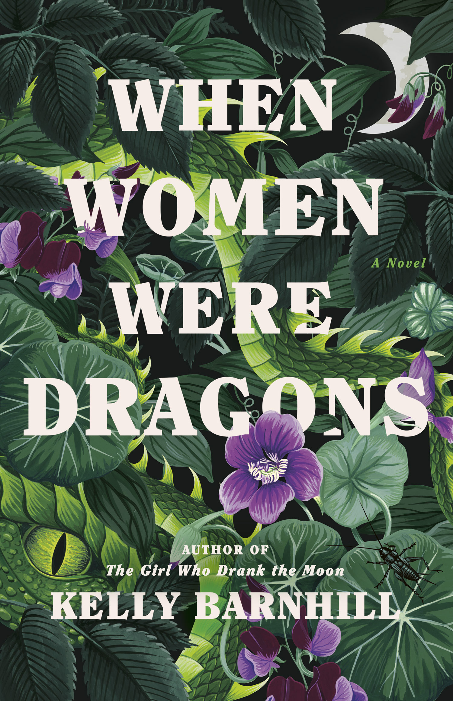 when women were dragons book cover