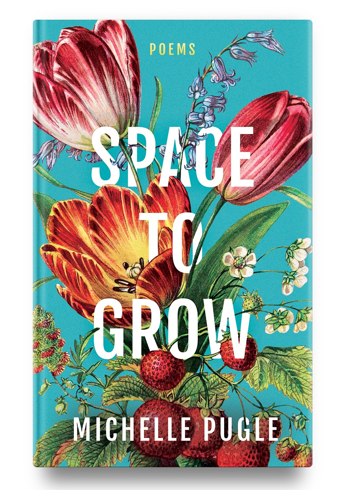 space to grow cover