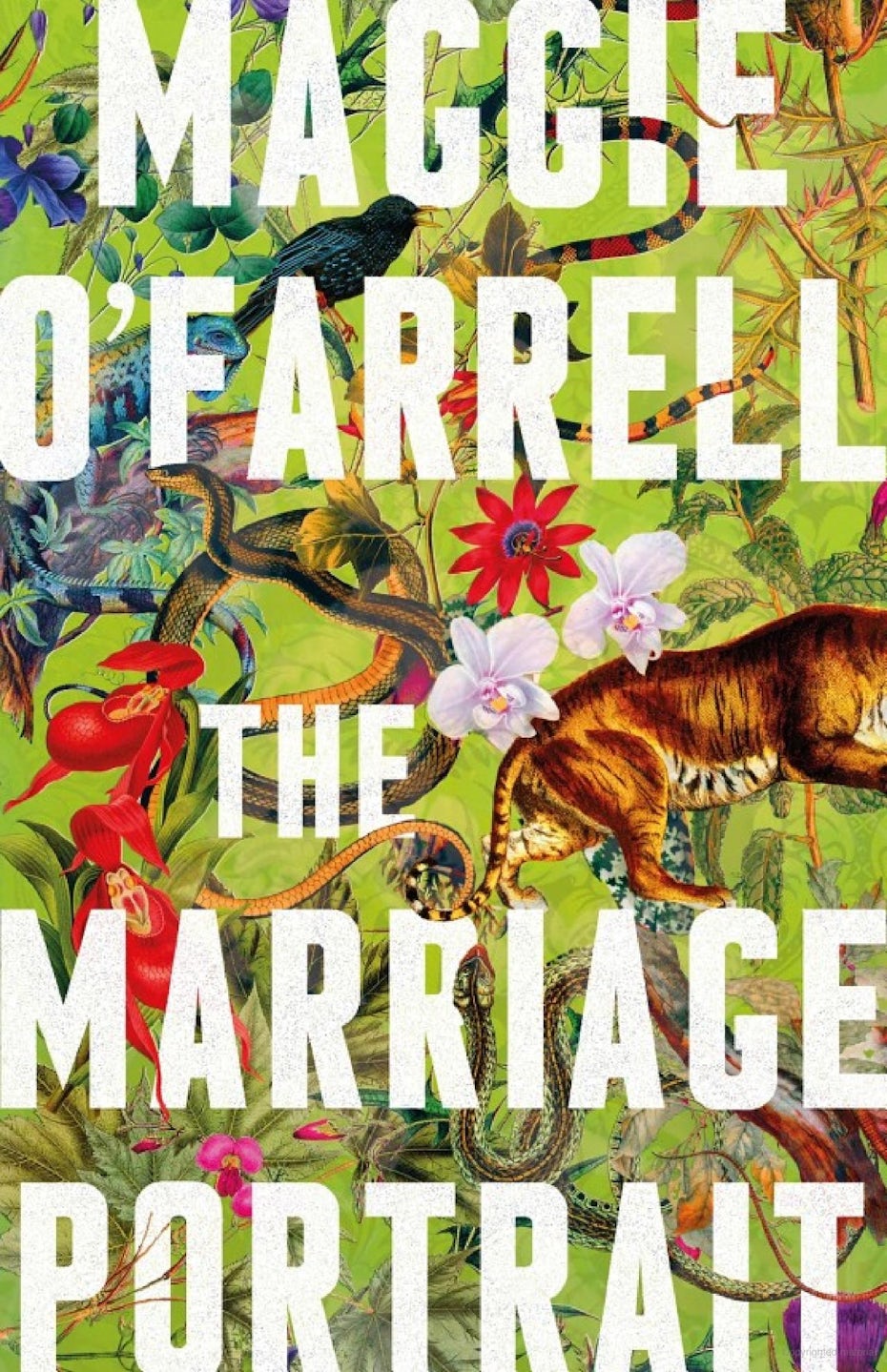 portada del libro para el retrato de matrimonio con flores, animales en el fondo y texto en negrita
