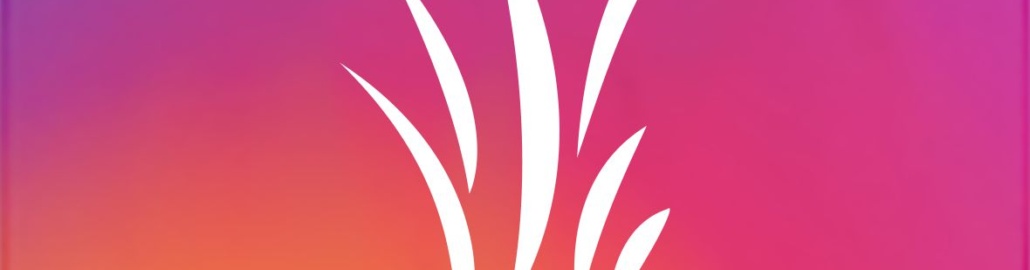  - instagram followers hack pdf