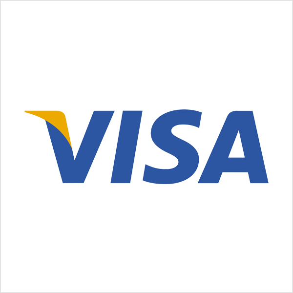visa wordmark logo
