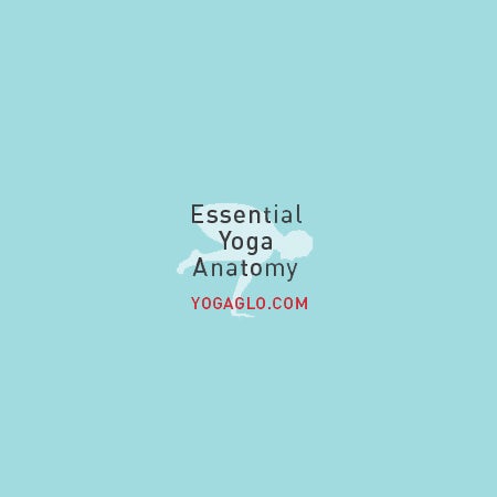 Jason Crandell Yoga logo