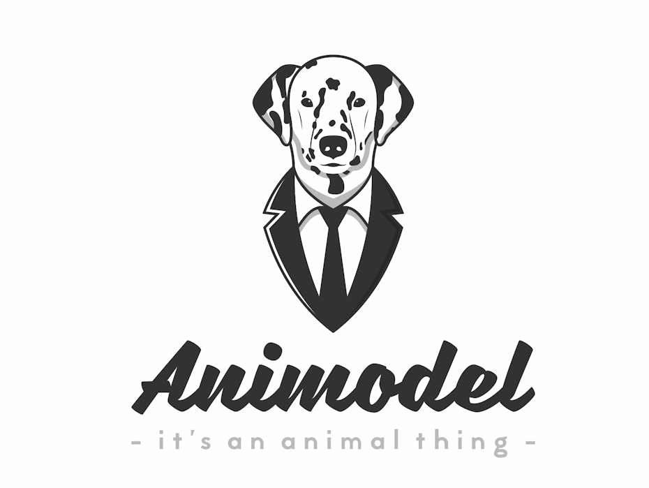 Animodel logo